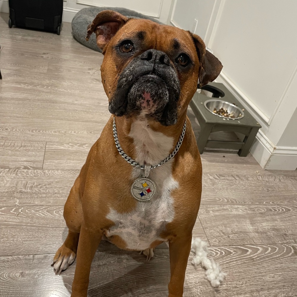 Meet your Posher, Monay